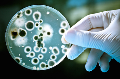drug-resistant-bacteria