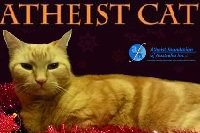 Atheist Cat